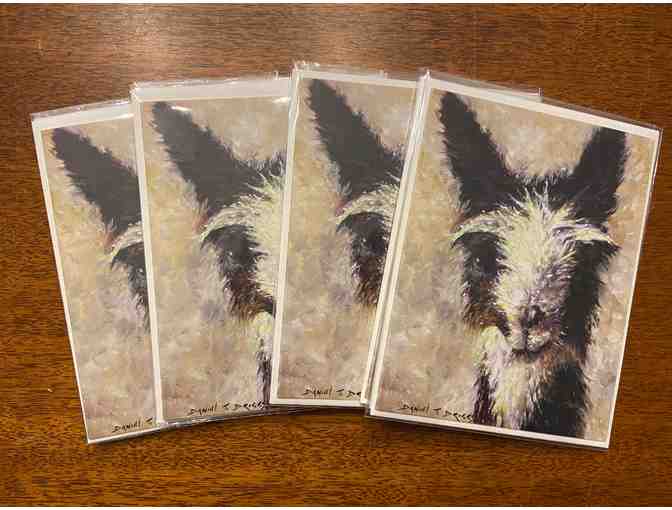 Suri alpaca notecards and print