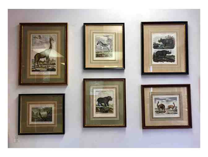 Conservation Framing Gift Certificate