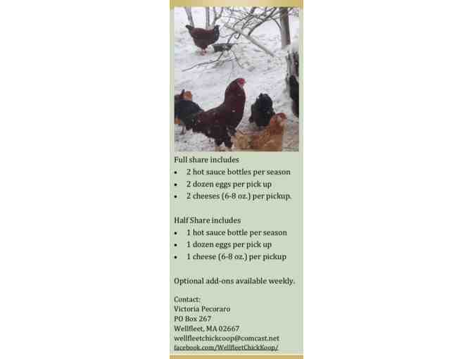 Wellfleet Chick Coop & Farm - CSA Egg & Cheese Program