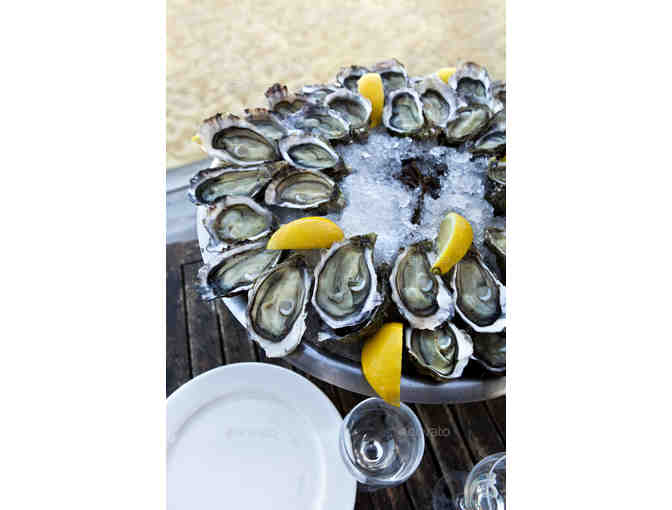 Wellfleet Oyster Farm Private Tour for 8