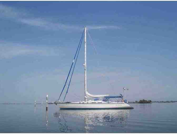 Cruise the Seas in a Luxury Yacht