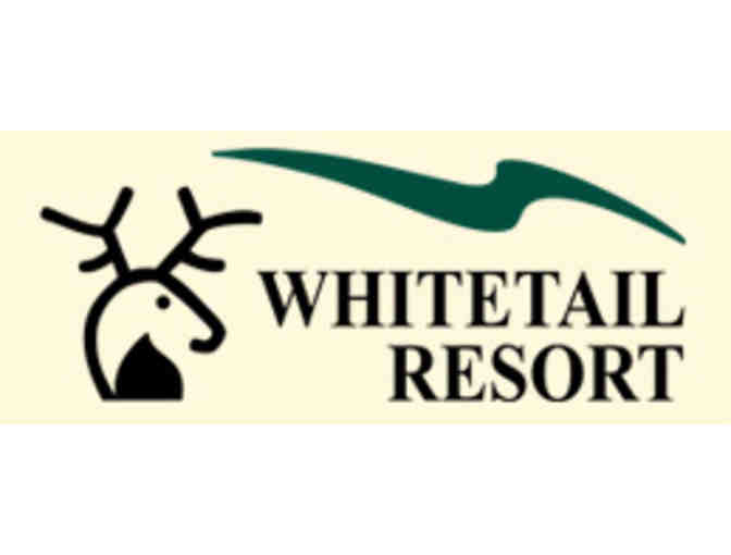 Learn To Ski or Snowboard At Whitetail Resort
