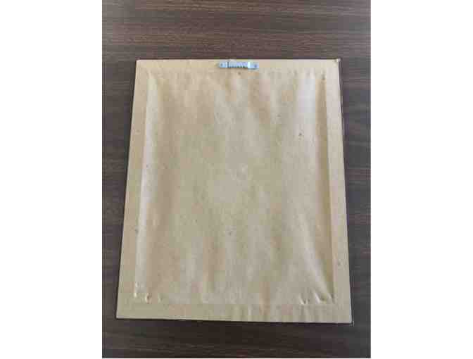 'Glimpse of the Past Through The Baseball Collection' Framed Stamp Collection