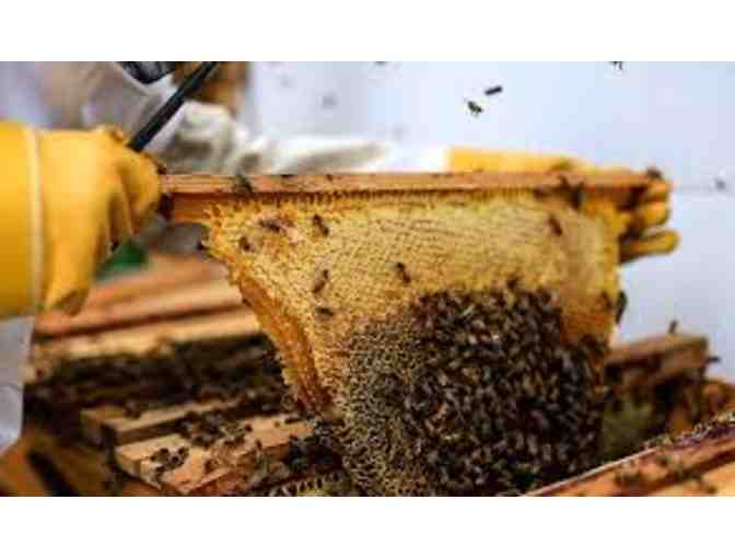 Beekeeping Class - Photo 1
