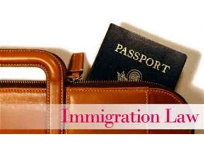 Immigration Law Consultation