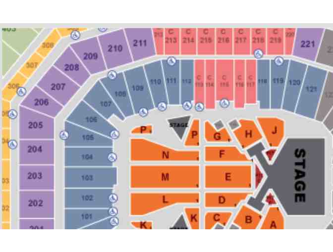 Taylor Swift Reputation Stadium Tour - Fabulous Seats for the Bay Area show!