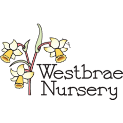 Westbrae Nursery