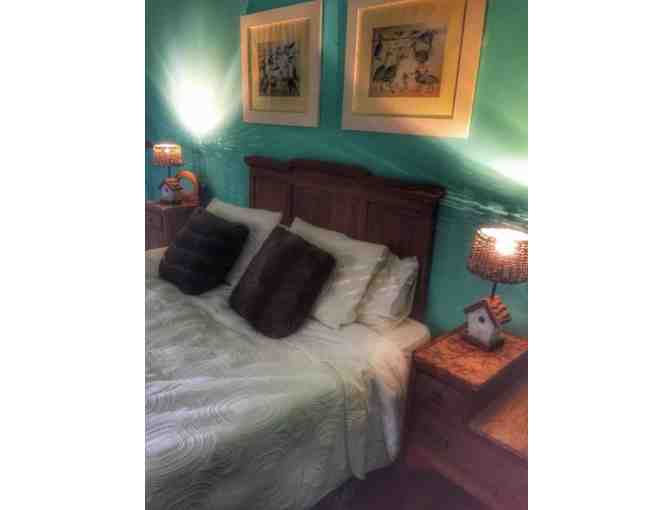 Black River Outfitters - Uruguay Dorado Fishing Trip!