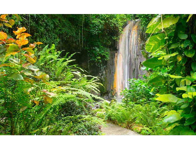 Enjoy 7-10 Nights of Beachfront Resort Accommodations at St. James's Club Morgan Bay