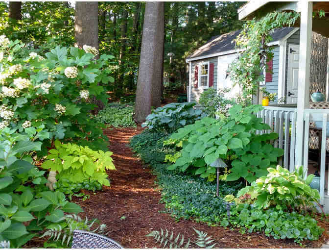 90-minute Garden Design Consultation with The Big Little Garden