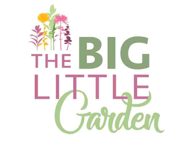 90-minute Garden Design Consultation with The Big Little Garden