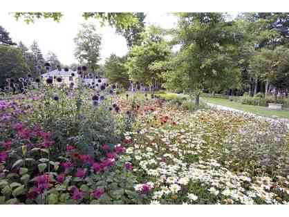 Pollinator Garden Consultation