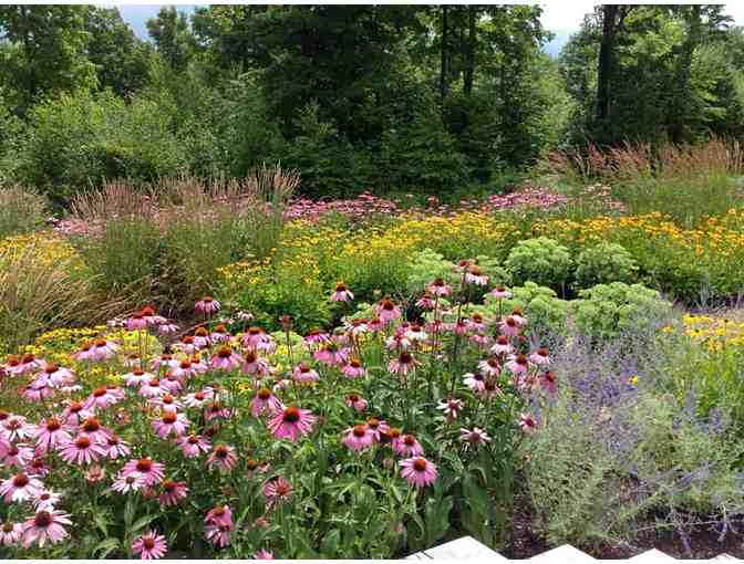 Pollinator Garden Consultation