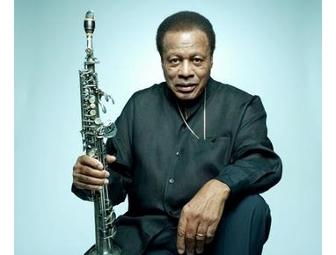 Be a VIP at the Newport Jazz Festival