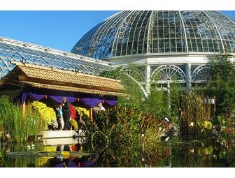 Discover Nature's Palette at the New York and Brooklyn Botanical Gardens