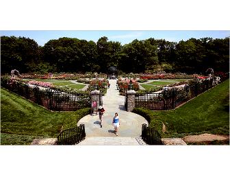 Discover Nature's Palette at the New York and Brooklyn Botanical Gardens