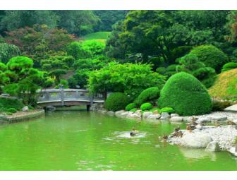 Discover Nature's Palette at the New York and Brooklyn Botanical Gardens