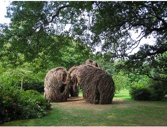 Discover Nature's Palette at the New York and Brooklyn Botanical Gardens