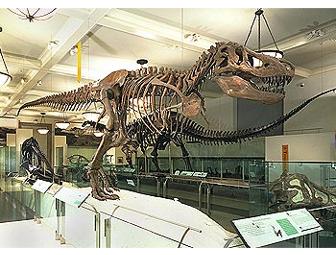 Private Tour of the American Museum of Natural History