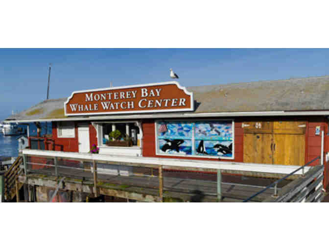 Monterey Bay Whale Watching for 2