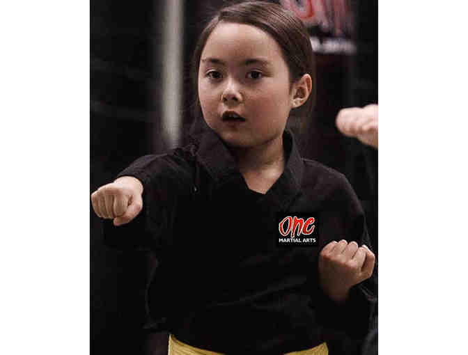 Birthday Party at One Martial Arts