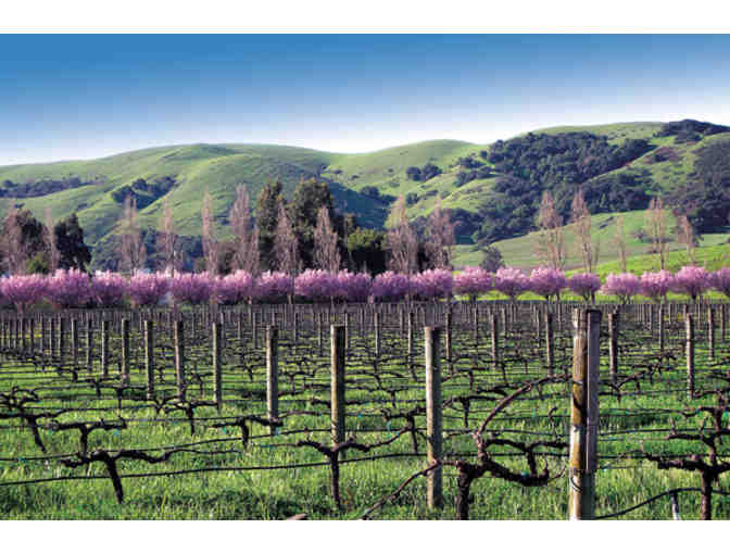 VIP Tour & Tasting for 4 at Cline Family Cellars