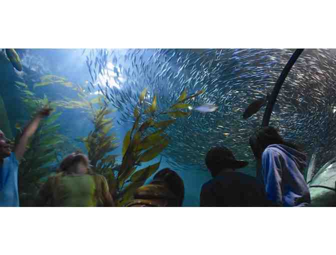 2 General Admission Tickets to Aquarium of the Bay