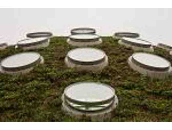 California Academy of Sciences Four General Admission Tickets