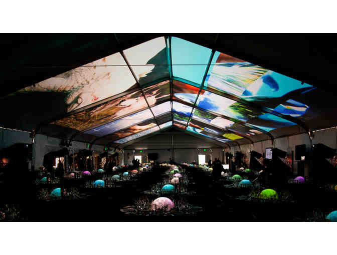 Immersive Tour at Obscura Digital