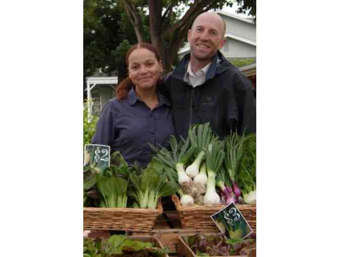 Cornucopia of Delights from Synergy Community