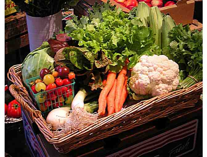 Cornucopia of Delights from Synergy Community