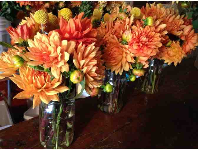 Cornucopia of Delights from Synergy Community