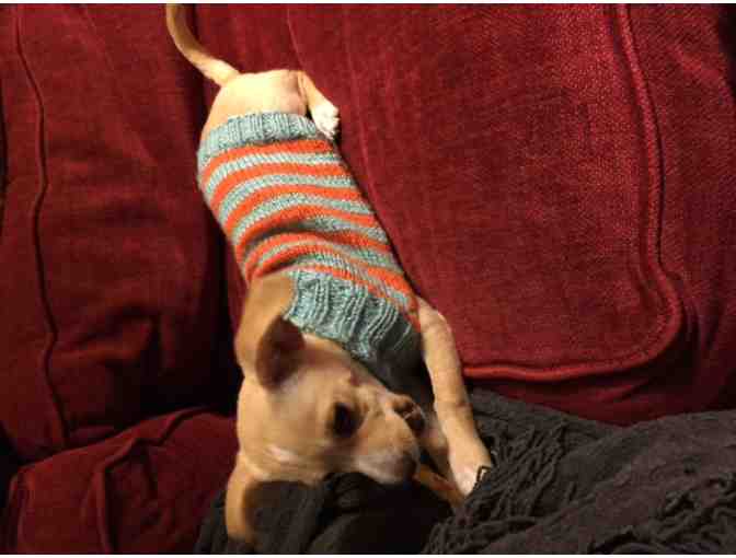 Bespoke Hand Knit Sweater For Your Dog