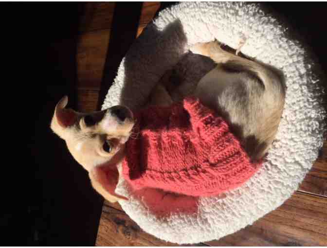 Bespoke Hand Knit Sweater For Your Dog