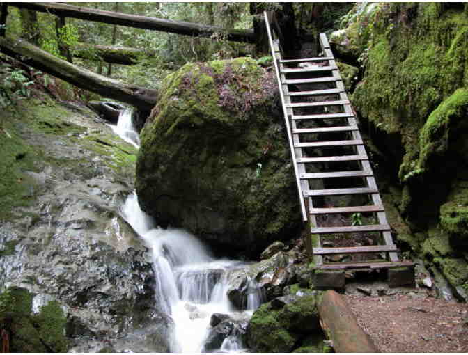 Hiking & a Picnic on Mt. Tam with Dan