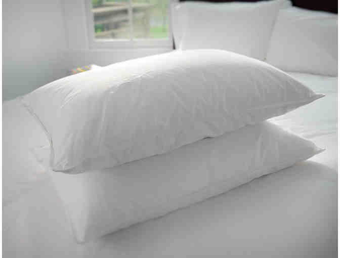 McRoskey Mattress Co. Pillows