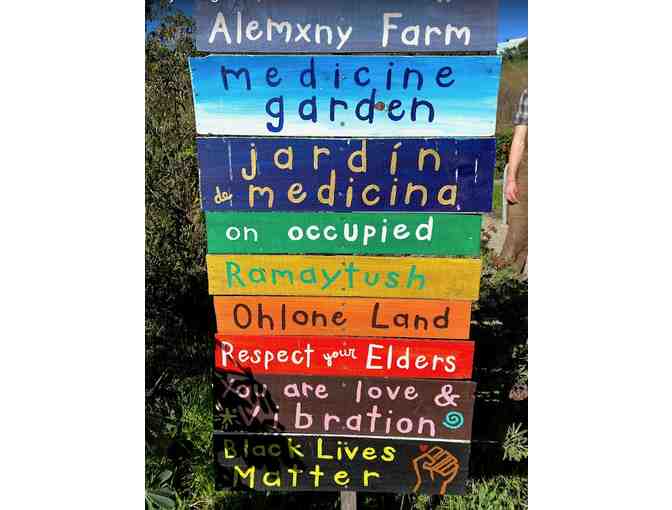 A Day Out in Nature at Alemany Farms