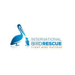 International Bird Rescue Center