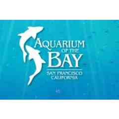 Aquarium of the Bay