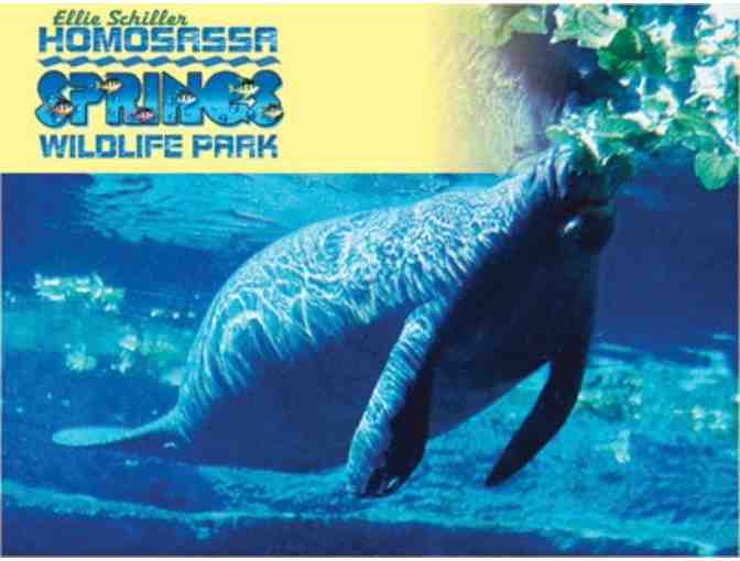 Swim with the Manatee Experience and Two Night Stay in Crystal River, FL
