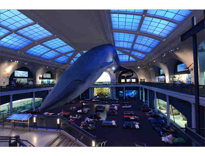 A Night at the Museum Sleepover Package for 4 at the American Museum of Natural History
