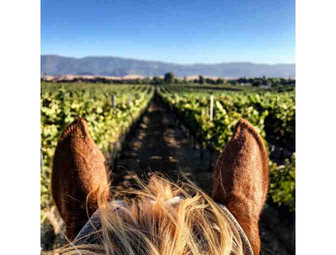 Vino Vaqueros Horseback Riding and Wine Tasting for 2