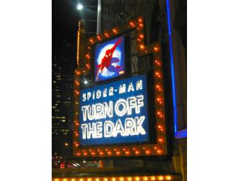 Pair of Tickets to Spider-man: Turn Off the Dark on Broadway