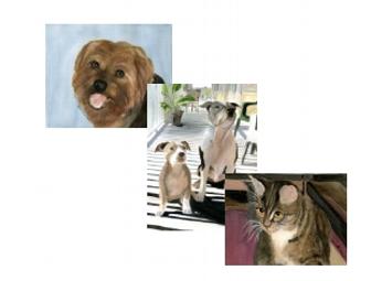 Personalized Pet Portrait Package
