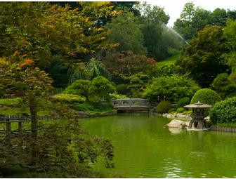 A Tree Grows in Brooklyn: Pair of Brooklyn Botanic Garden Frequent Visitor Passes