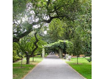 A Tree Grows in Brooklyn: Pair of Brooklyn Botanic Garden Frequent Visitor Passes