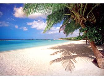 Your Island in the Sun: 3-Night, 4-Day Getaway to the Renaissance Aruba