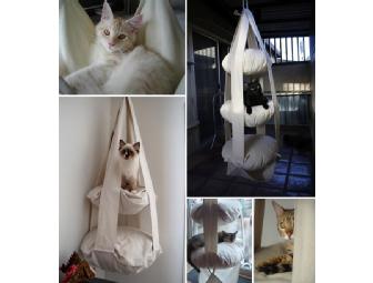 The Cat's Trapeze is the Cat's Meow!