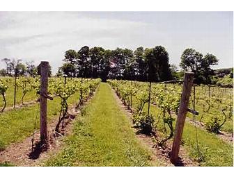 Fruit of the Vine: Extended-Flight Wine Tasting for 4, Unionville Vineyards, Ringoes, NJ