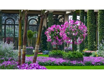 Garden of Earthly Delights: Four Tickets to Spectacular Longwood Gardens (Kennett Square, PA)